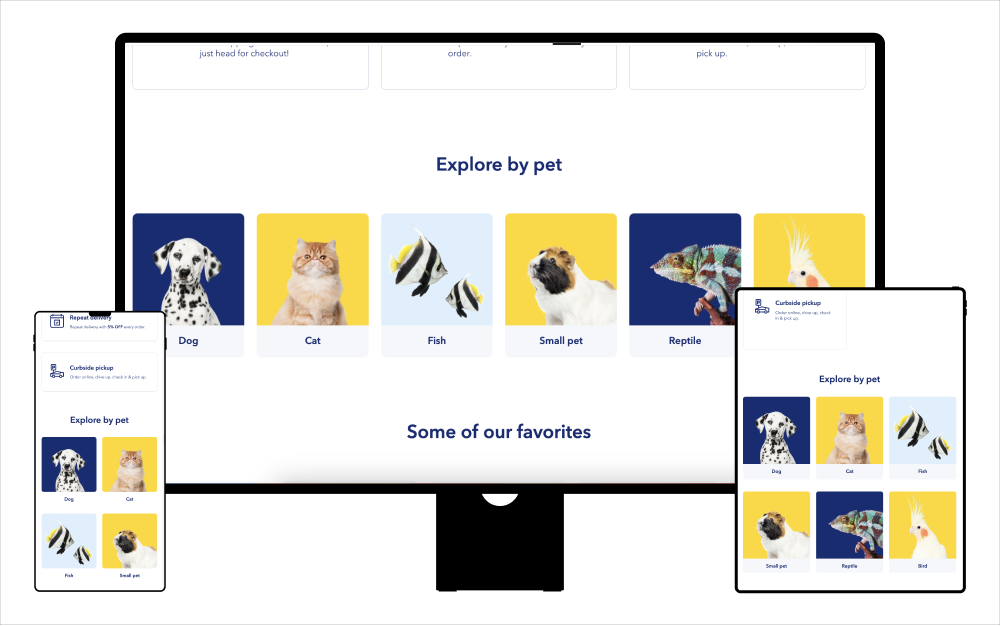 Collection - Collection 04